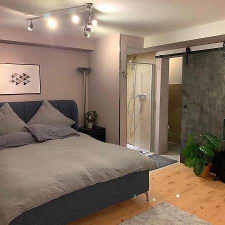 Top Studio Appartement Im Gruenen Nah Phantasialand Brühl 외부 사진