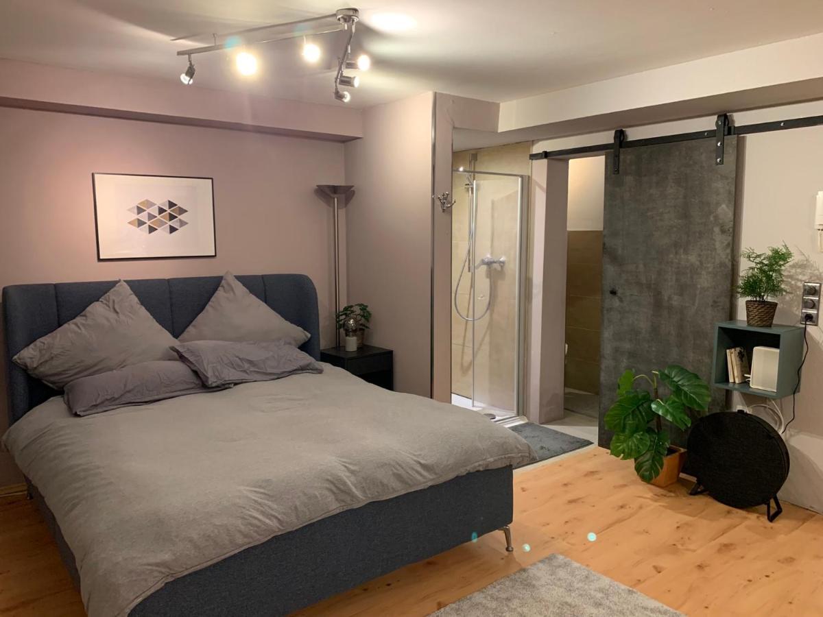 Top Studio Appartement Im Gruenen Nah Phantasialand Brühl 외부 사진